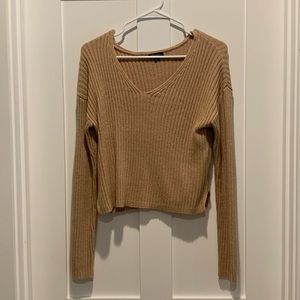 Brown Wild Fable V-Neck Sweater